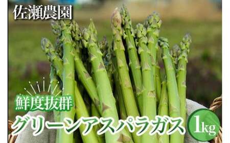26-A 鮮度抜群！佐瀬農園のグリーンアスパラガス ※2026年4月中旬～9月上旬頃に順次発送予定