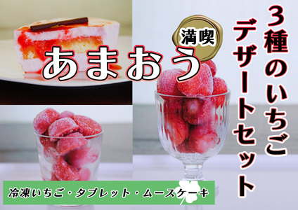 CZ-012_【あまおう満喫】3種のいちごデザートセット