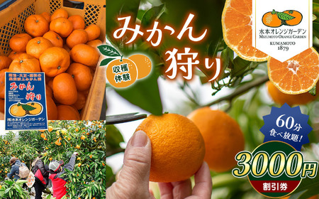 みかん狩り 収穫体験 （ みかん60分食べ放題 ） 3000円割引券 | みかん狩り 食べ放題 割引券 チケット イベント 極早 生早生 金峰 デコポン せとか バーべキュー 熊本県 玉名市
