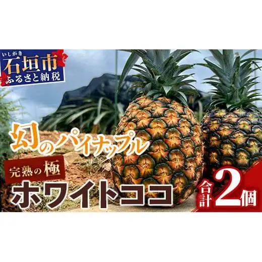 [先行予約] 最高糖度20度！？ 完熟の極 石垣島産幻のパイナップル ホワイトココ2個セット