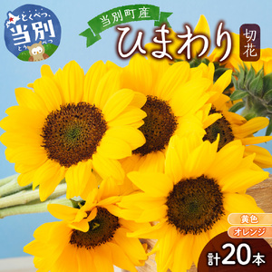 ひまわり 切花 20本 黄色 オレンジ 四季農場《6月上旬-9月下頃出荷》北海道 当別町 切り花 冷蔵便 北海道産 当別町産