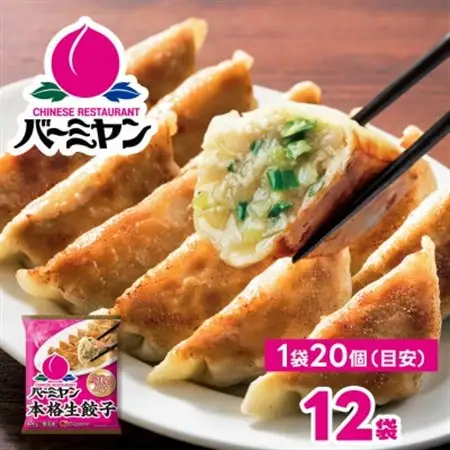 すかいらーく バーミヤン 冷凍生餃子 12袋(目安240個)【配送不可地域：離島】【1511283】
