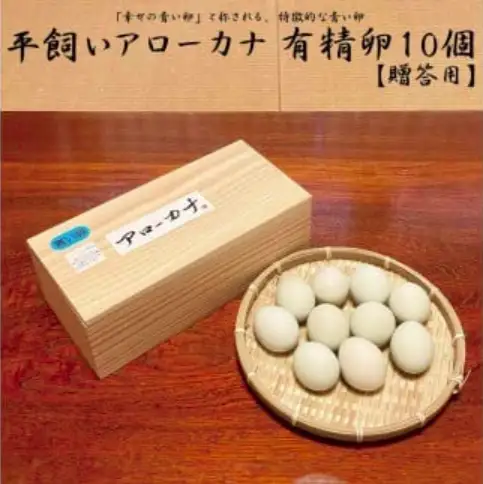 【徳島県産 卵】10個 卵 鶏 アローカナ 鶏卵 最強のTKG 高級 しあわせの青い卵 平飼い 採れたて 希少 国産 