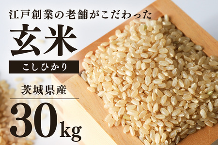 【期間限定】 こしひかり 玄米 30kg コシヒカリ お米 精米 玄米 白米 ごはん ご飯 単一原料米 茨城県産 美容 健康 69-A ＜2026年7月31日まで受付＞