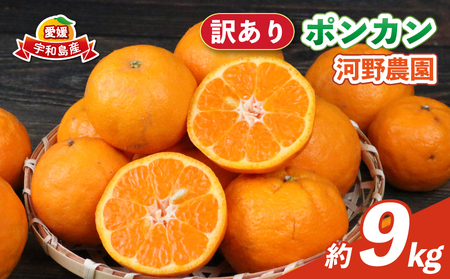 訳ありﾎﾟﾝｶﾝ 9kg 河野農園 みかんﾎﾟﾝｶﾝﾎﾟﾝｶﾝﾎﾟﾝｶﾝﾎﾟﾝｶﾝﾎﾟﾝｶﾝ B010-147005