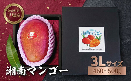 アップル マンゴー 3Lサイズ アーウィン種 湘南 平塚 