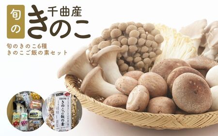 旬のきのこ6種+きのこご飯の素セット|きのこ
