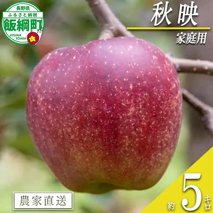 りんご 秋映 家庭用 5kg 永正の地蔵尊神谷農園 沖縄県への配送不可 2026年10月上旬頃から2026年12月上旬頃まで順次発送予定 令和8年度収穫分 信州 果物 フルーツ リンゴ 林檎 長野 予約 農家直送 長野県 飯綱町 [1863]