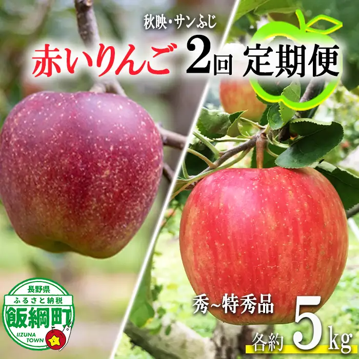 赤いりんご 【 定期便 】 秀 ～ 特秀 5kg × 2回 永正の地蔵尊神谷農園 沖縄県への配送不可 2026年10月上旬頃から2026年12月中旬頃まで順次発送予定 令和8年度収穫分 信州 果物 フルーツ リンゴ 林檎 長野 予約 農家直送 長野県 飯綱町 [1864]