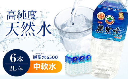 【✨私が出会った絶好調の秘密✨ミネラル水】600ml×2本 6500円/本 飲料 水 ミネラルウォーター 巌聖水6500 2L×6本入り 広島県福山市/小林