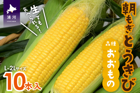 【先行予約受付中！】北海道浦河産 朝もぎとうもろこし「おおもの」10本入[24-1393]