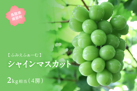 シャインマスカット 約2kg　9月中旬～出荷予定＜2026年収穫分・数量限定＞