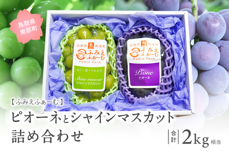 ぶどうの詰め合わせ 約2kg （ピオーネ・シャインマスカット） 9月中旬出荷予定 ＜2026年収穫分・数量限定＞