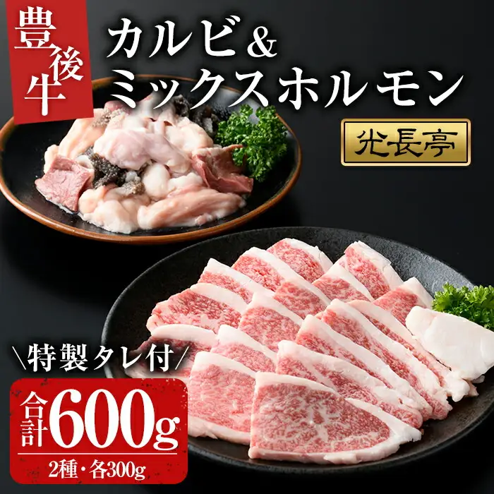 豊後牛 カルビ+ミックスホルモンセット 光長亭 特製タレ付(合計600g+250ml)牛肉 お肉 カルビ ホルモン センマイ ハツ 焼肉のたれ【109900200】【ショッピングストアー光長】