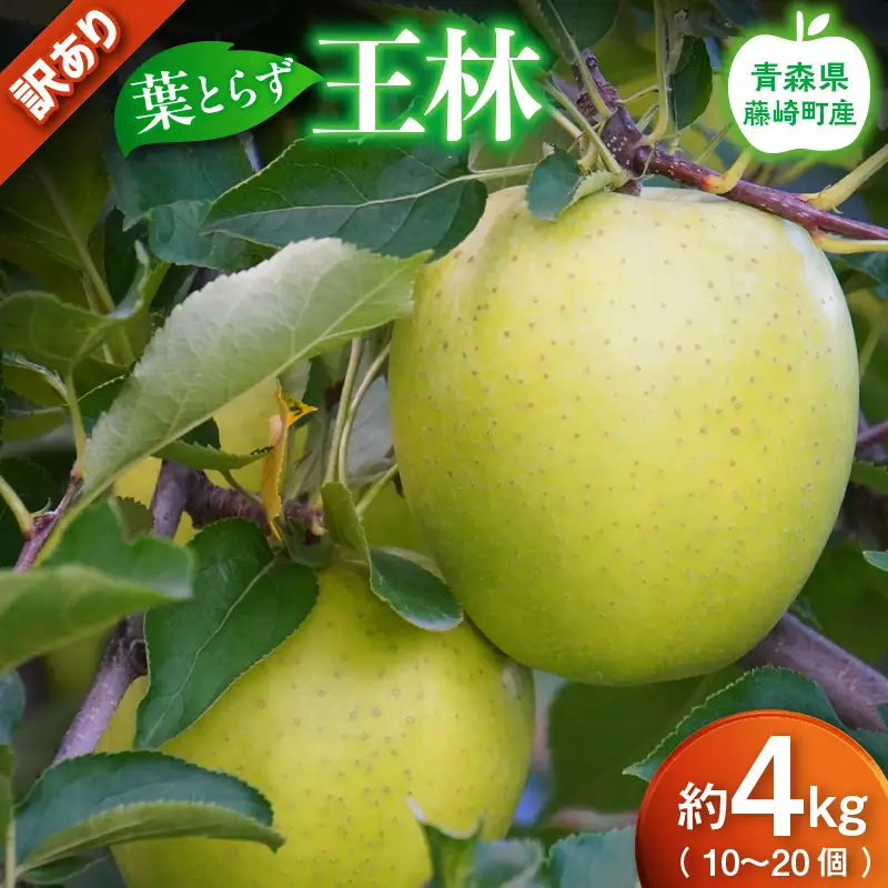 【先行予約】 ≪訳あり≫ 葉とらず 王林 約4kg (10～20個) 【グランドアップル】 F41-0026
