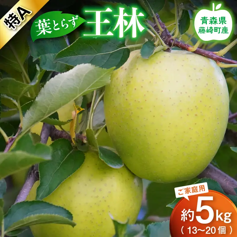【先行予約】 葉とらず 王林 特A ご家庭用 約5kg (13～20個) 【グランドアップル】 F41-0025