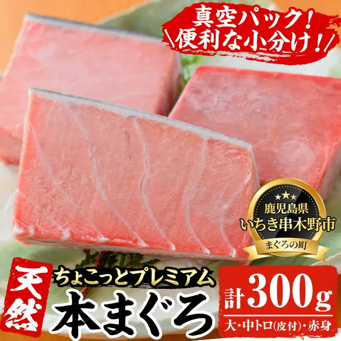 【ちょこっとプレミアム】天然本まぐろフルセット　合計約300g【00-041-10】