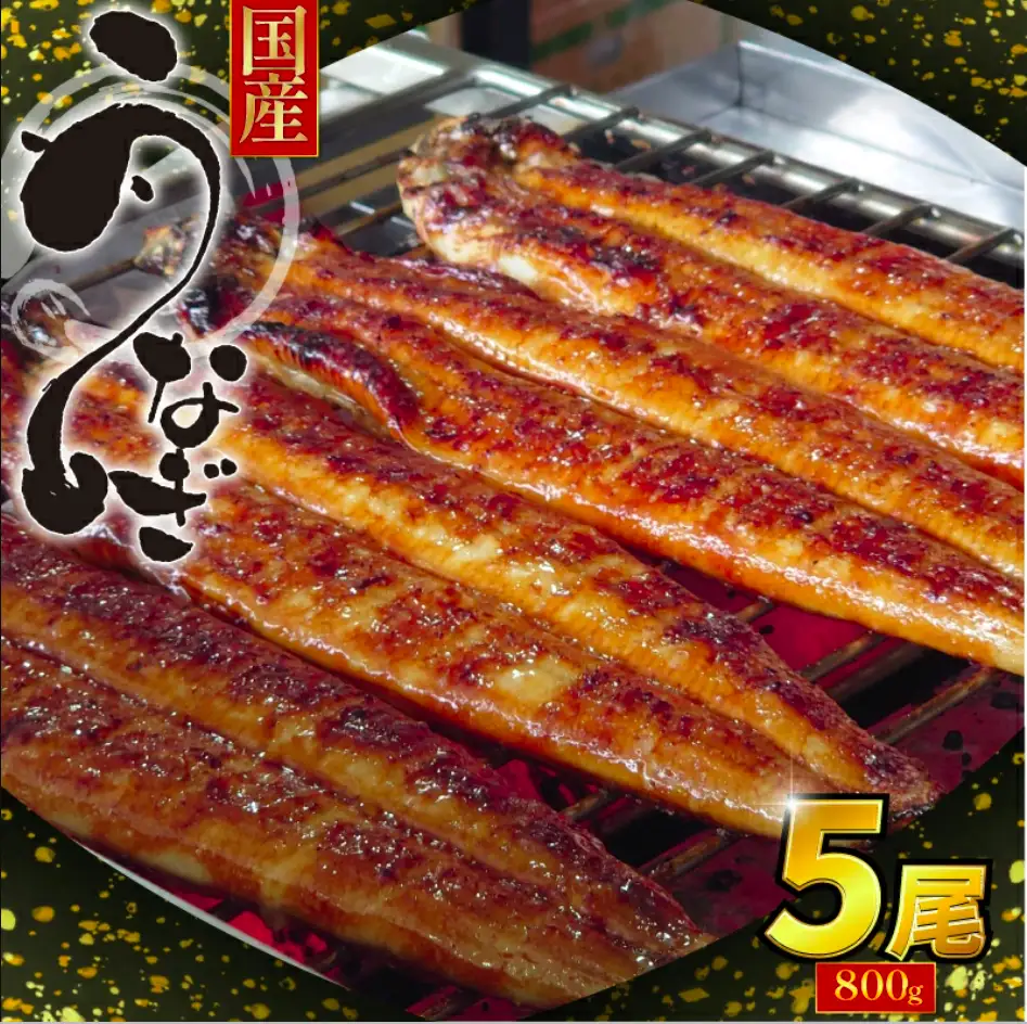 特上うなぎ 蒲焼 国産 5尾 約800g うなぎ