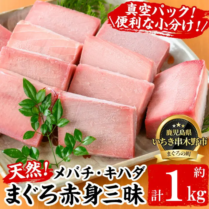 天然！メバチマグロとキハダマグロ 冷凍 それぞれ 赤身 100g×5 合計約1kg！を便利な小分け柵でお届け【00-041-13】