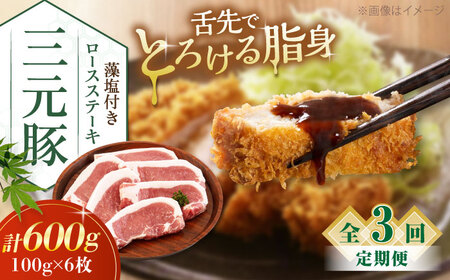 【全3回定期便】平田牧場 ロース ステーキ 600g  (100g×6枚) ※藻塩付 豚肉 とんかつ 生姜焼き[AJAP023]