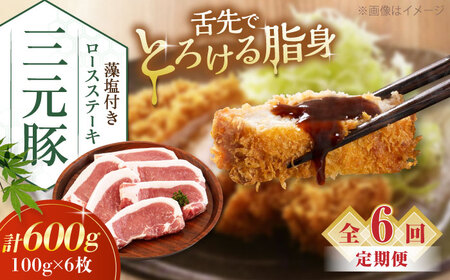 【全6回定期便】平田牧場 ロース ステーキ 600g  (100g×6枚) ※藻塩付 豚肉 とんかつ 生姜焼き[AJAP024]