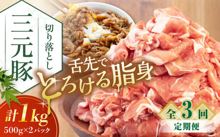 【全3回定期便】平田牧場 切り落とし 1kg (500g×2P)  豚肉 切り落とし 小分け [AJAP031]