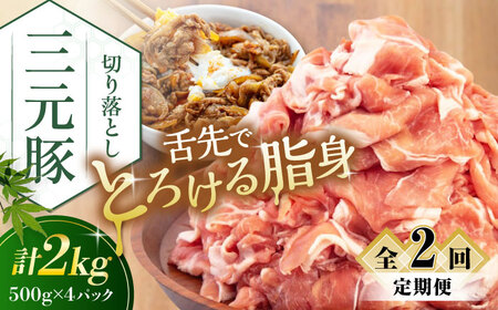 【全2回定期便】平田牧場 切り落とし 2kg (500g×4P)  豚肉 切り落とし 小分け [AJAP034]