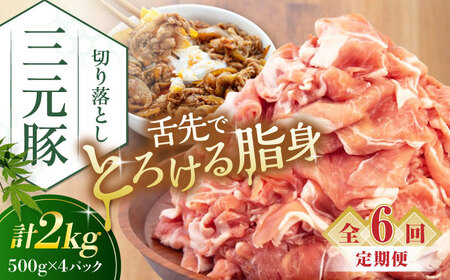 【全6回定期便】平田牧場 切り落とし 2kg (500g×4P)  豚肉 切り落とし 小分け [AJAP036]