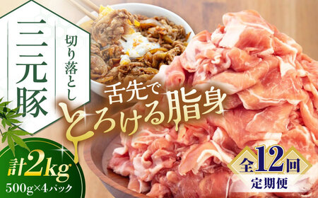 【全12回定期便】平田牧場 切り落とし 2kg (500g×4P)  豚肉 切り落とし 小分け [AJAP037]