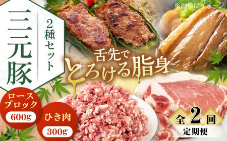 【全2回定期便】平田牧場 2種 セット 豚肉 詰め合わせ セット [AJAP042]
