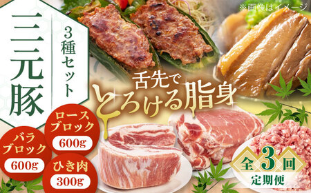 【全3回定期便】平田牧場 3種 セット 豚肉 詰め合わせ セット [AJAP047]