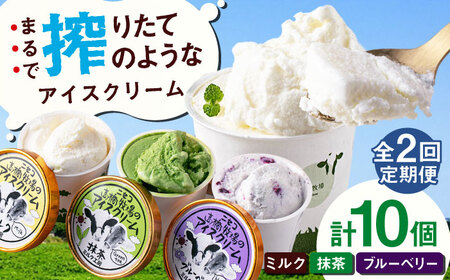 【全2回定期便】ミルク工房 カップ アイス セット 10個  ジェラート 抹茶 ブルーベリー 詰め合わせ 冷凍配送 北海道 [AJAI055]