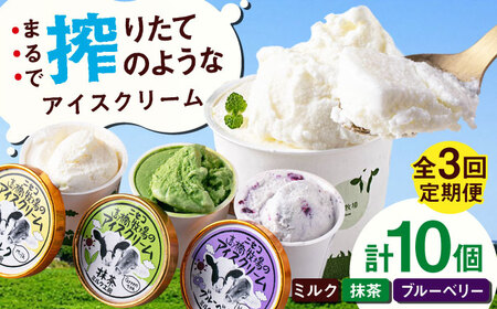 【全3回定期便】ミルク工房 カップ アイス セット 10個  ジェラート 抹茶 ブルーベリー 詰め合わせ 冷凍配送 北海道 [AJAI056]