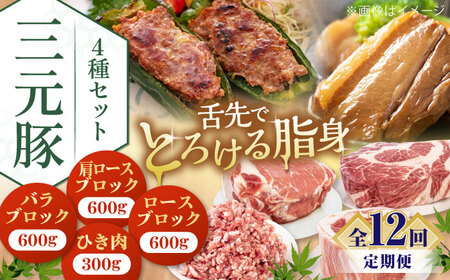 【全12回定期便】平田牧場 4種 セット 豚肉 詰め合わせ セット [AJAP053]