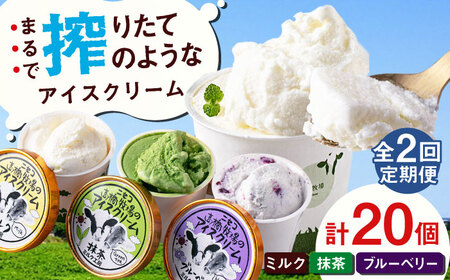 【全2回定期便】ミルク工房 カップ アイス セット 20個  ジェラート 抹茶 ブルーベリー 詰め合わせ 冷凍配送 北海道 [AJAI059]