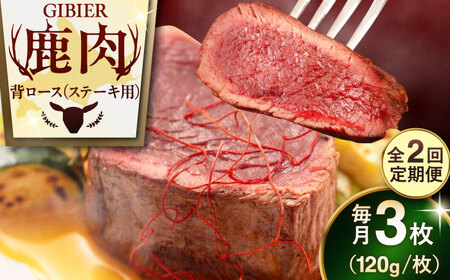 【全2回定期便】鹿肉 背ロース 3枚  ジビエ 赤身 冷凍配送 北海道 [AJAO027]
