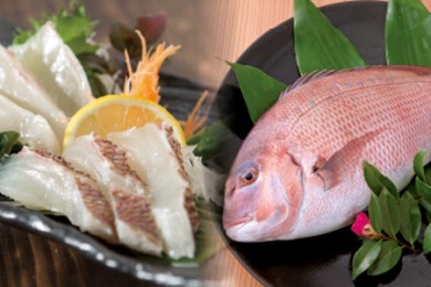 鯛  刺身 まるごと 1匹分 刺身