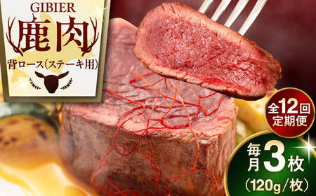 【全12回定期便】鹿肉 背ロース 3枚  ジビエ 赤身 冷凍配送 北海道 [AJAO030]
