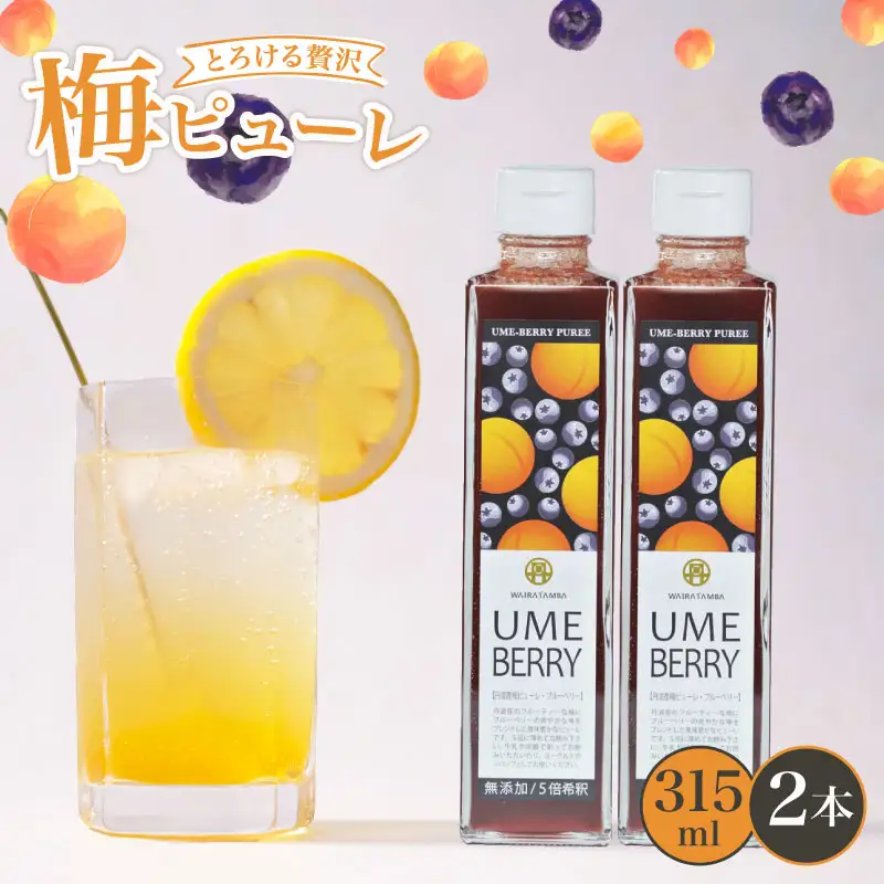 【梅ベリーピューレ】UMEBERRY 2本セット 梅 ジャム 
