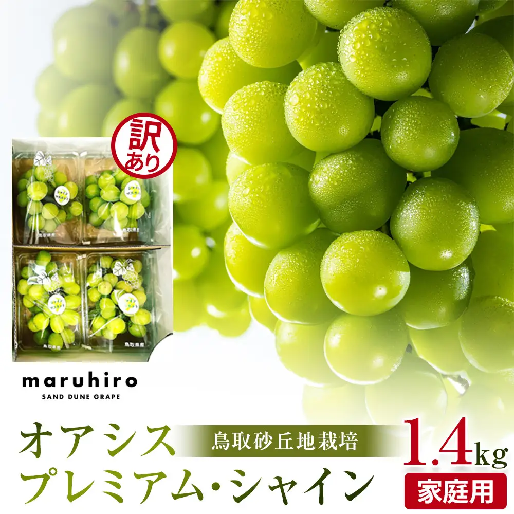 915.【先行予約】シャインマスカット 訳あり 家庭用 鳥取砂丘地産 1.4kg（350g×4パック） ※離島への配送不可 ※2026年8月下旬～10月下旬頃に順次発送予定