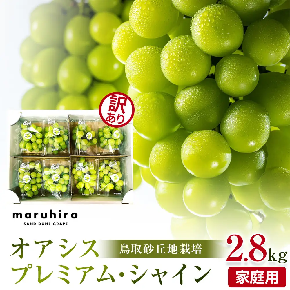 914.【先行予約】シャインマスカット 訳あり 家庭用 鳥取砂丘地産 2.8kg（350g×8パック） ※離島への配送不可 ※2026年8月下旬頃～10月下旬頃に順次発送