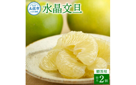 【先行予約】水晶文旦 特選ご贈答用 特大 約1.5kg（2個入）〈2026年10月上旬?11月上旬頃発送〉  /  ぶんたん ブンタン 水晶文旦 果物 柑橘 フルーツ 特大サイズ お取り寄せ 特産品 美味しい 高知県産【白木果樹園】 [BQAI020]