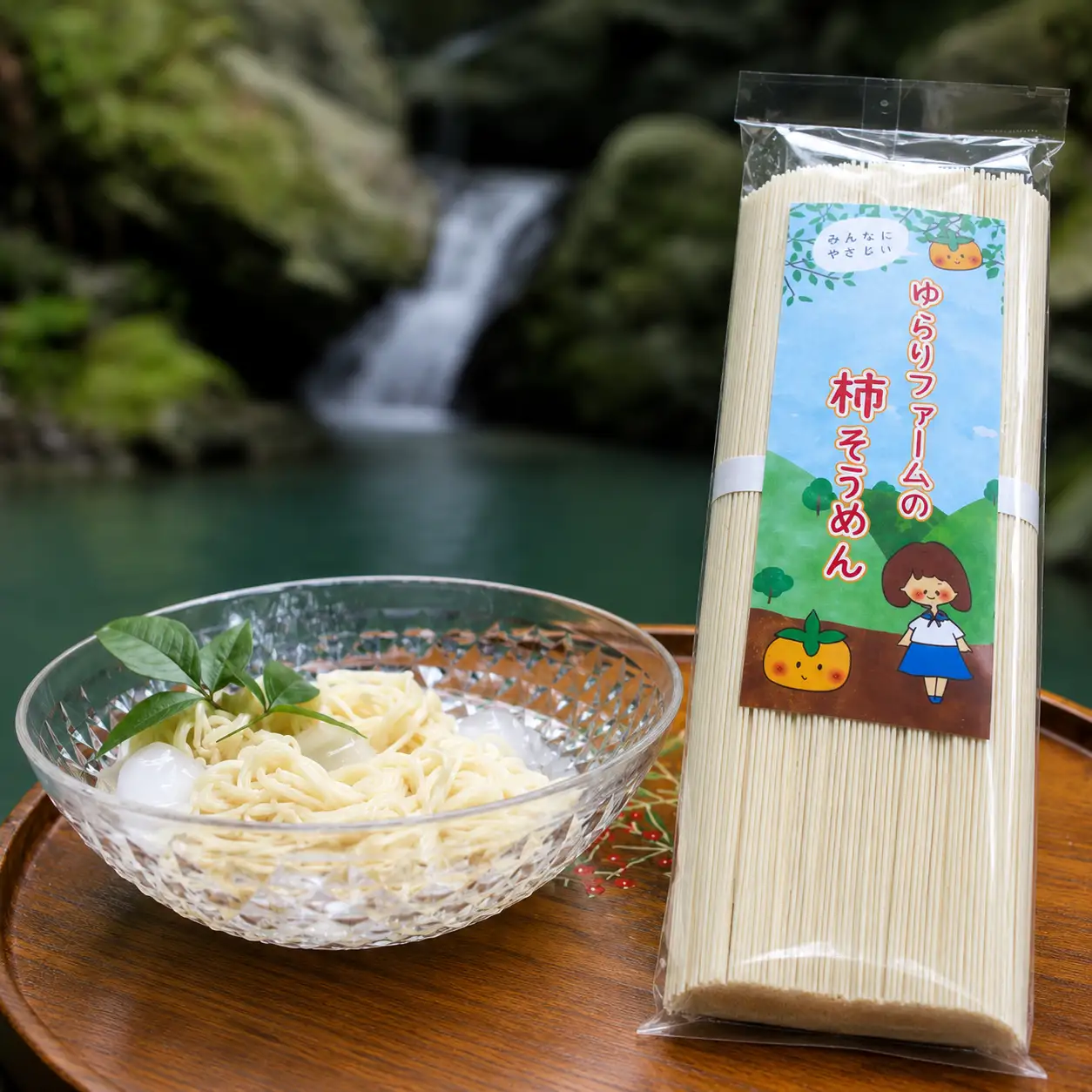 そうめん 紀北 かつらぎ特産 たねなし柿そうめん【入金確認後、１週間以内を目途に発送】【BQ001-yrrf001】