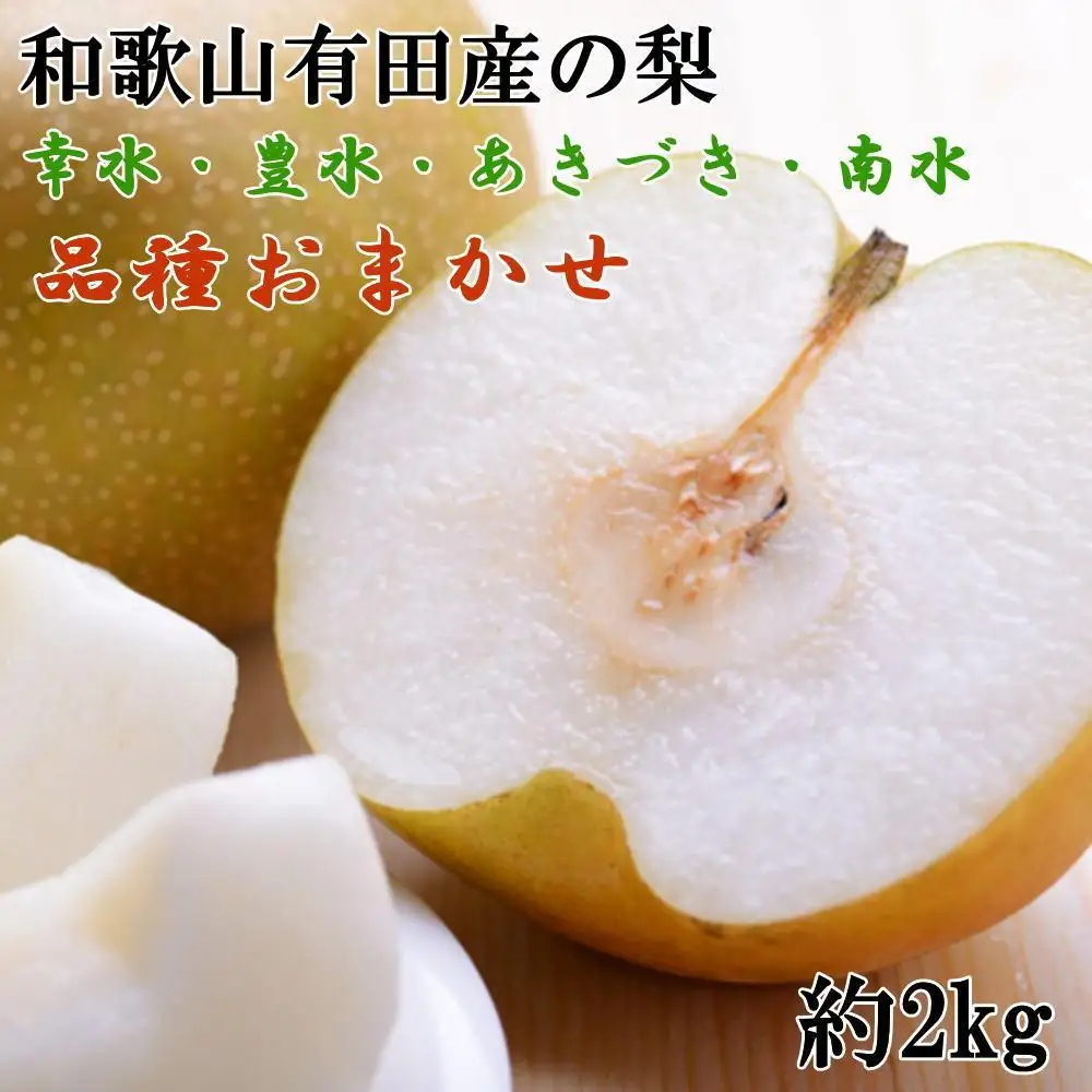 【産直】和歌山有田産の梨約2kg（品種おまかせ）★2026年8月上旬頃より順次発送