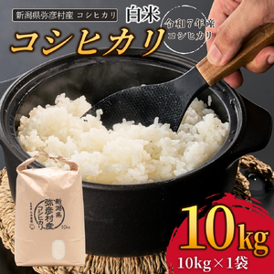 コシヒカリ 精米 10kg 弥彦村 石井農園 白米 | コシヒカリ 新潟県 令和7年産