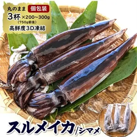 【便利な個包装】朝とれスルメイカ　3杯セット(3杯×200～300g)750g前後　高鮮度3D凍結　【配送不可地域：離島】【1515774】