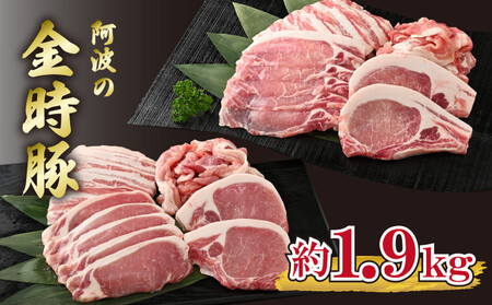 金時豚 豚肉 4種 豚肉 