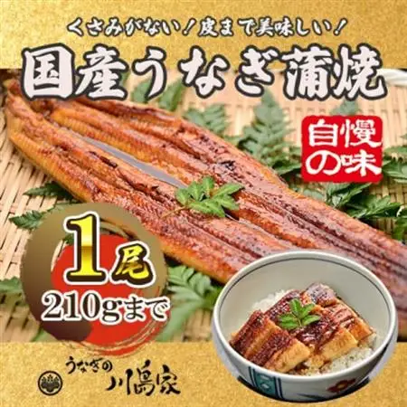 【冷凍1尾】岬町自慢の味　うなぎの川島家　国産うなぎ蒲焼　中サイズ(195～210g)特製タレ付き_魚介・海産物 うなぎ  ウナギ 鰻_【配送不可地域：離島】【1488335】