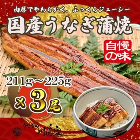 【冷凍3尾】岬町自慢の味　うなぎの川島家　国産うなぎ蒲焼　大サイズ(211g～225g)特製タレ付き_魚介・海産物 うなぎ  ウナギ 鰻_【配送不可地域：離島】【1488341】