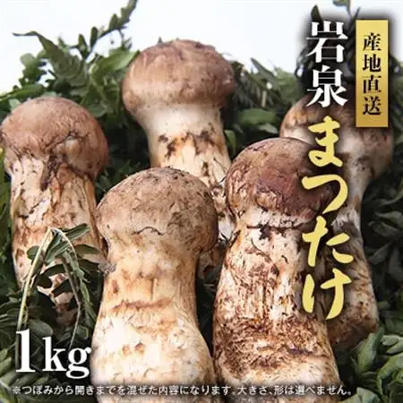 【2026秋発送】岩泉まつたけ 直送 1kg_野菜 松茸 きのこ まつたけ マツタケ_【配送不可地域：離島】【1423373】